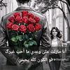 user29587093480024