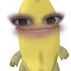 nifaacomback