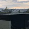 nikaflorarta