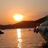 roza_13312
