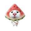 ssyaatsy_4