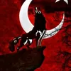 ahmet63570