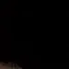 _qtrxx_