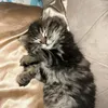 jasper_luvzzz