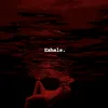 _m.v._8