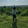 ifa.nurbaya