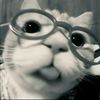 atirr.yh