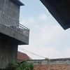 putrirani10.putri