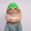 tobtobbycat