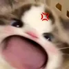 cakoboi_