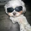 chibo.melissa