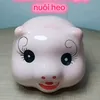 nuoiheongay50k