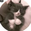 kt_kk09