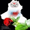 user910294076781