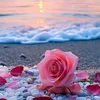 souad.souad749