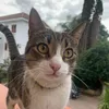 andreatumminello_12