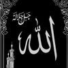 salwe.elshamy