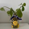 sweet_paradise7