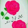 whaba.ali.746