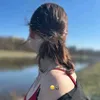 s.s.a699