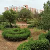 simolhwari08