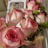 nadia.h37