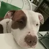www.tiktok.comelly1