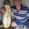 edvansergiobrunho