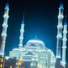 ali.amiri98