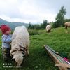 orhan.ehla