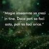 steluta.covaci