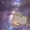 pyshinlove_