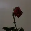 Desvio🥀💭