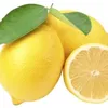 lemonguy202