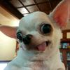 jorge_131123