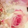 jhoset.flores