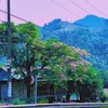 HOÀI NIỆM CA KHÚC VÀNG