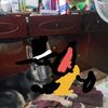 alejandracalvo913