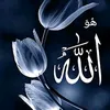 user2761670335472