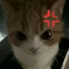 thuyduongkawaiii