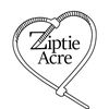 ziptie.acre