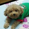meiling0541