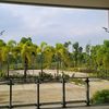 anjirlah210