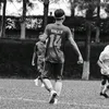 voly.14