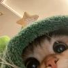na__a117