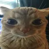 p00mm00p