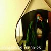 leenaximg