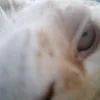 pedro.manuel.rodr3