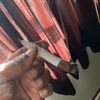sativa4053