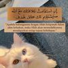 maeza.haneen.shal